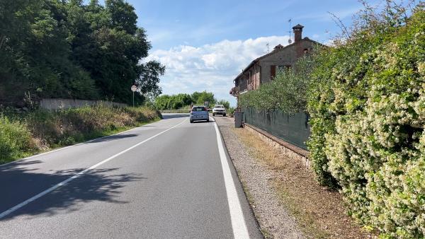 Tratto della ciclovia sulla SR 599, con alberi a sinistra e abitazioni con vista lago a destra. Strada ben curata e ombreggiata.